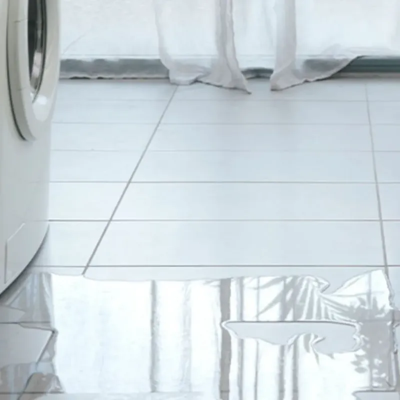 Appliance Leak Cleanup in Forest Hills, MI
