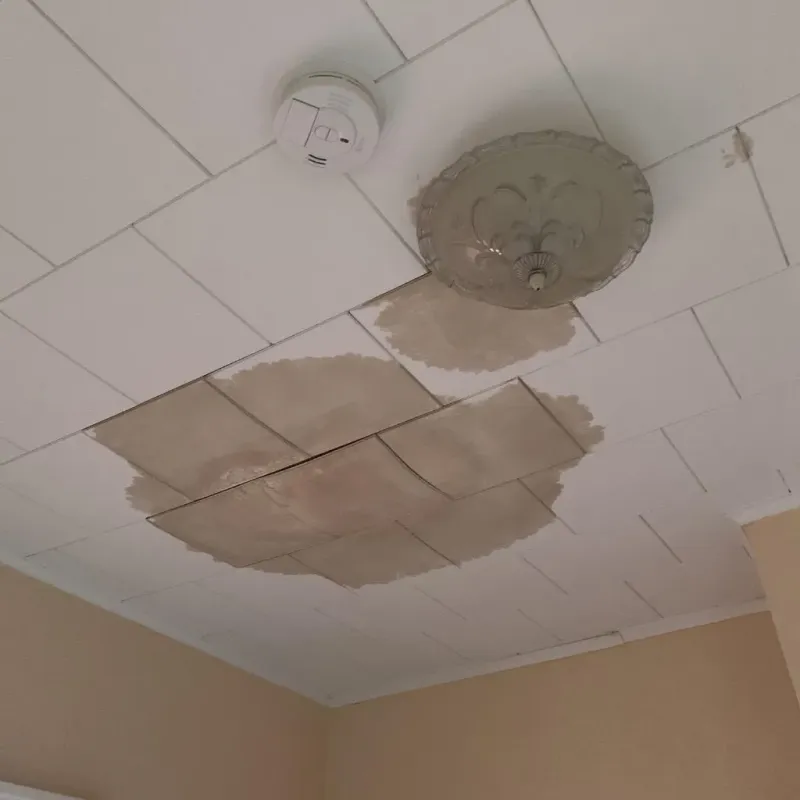 Ceiling Water Damage Repair in Forest Hills, MI