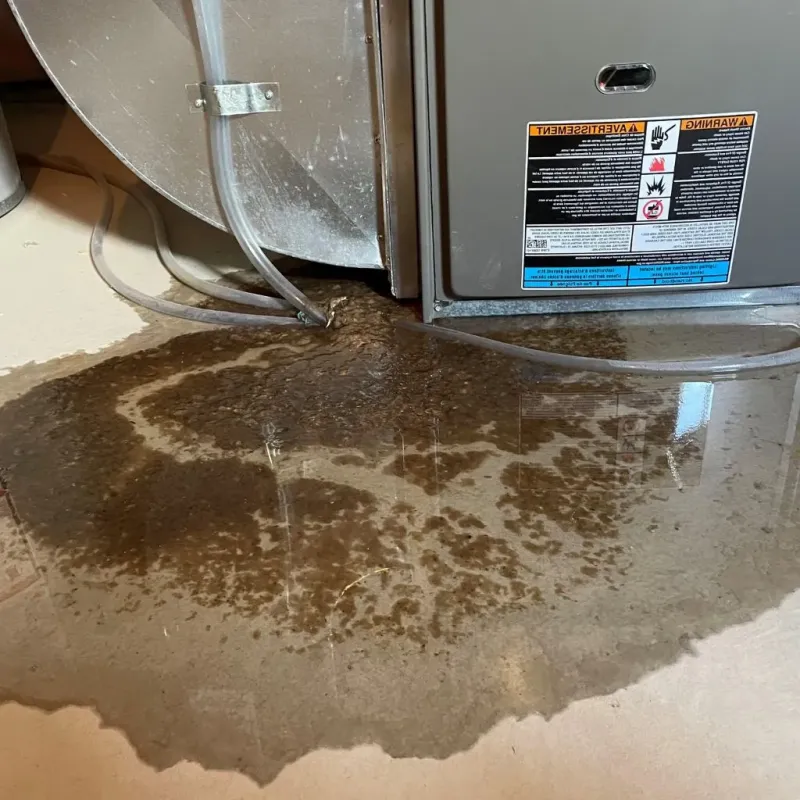 Pipe Burst and Leak Restoration in Forest Hills, MI