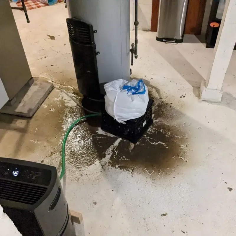 Sewage Backup Cleanup Service in Forest Hills, MI
